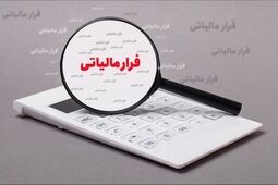 کشف ۳۱۰ میلیارد ریال فرار مالیاتی در سیستان و بلوچستان 