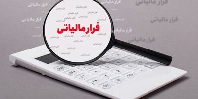 
پرداخت ۲۹۱ میلیون تومان پاداش به گزارش‌دهندگان فرار مالیاتی