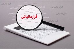  کتمان کنندگان درآمد در سازمان مالیاتی نقره داغ شدند 