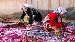 افزایش ۳۰ درصدی مصرف آب برای خانه تکانی / بدون مصرف بی رویه آب هم می توان به استقبال بهار رفت