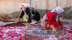 افزایش ۳۰ درصدی مصرف آب برای خانه تکانی / بدون مصرف بی رویه آب هم می توان به استقبال بهار رفت
