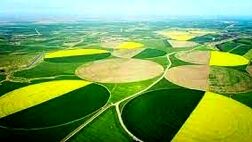 ابلاغ الگوی کشت به استان ها

