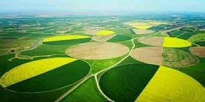ابلاغ الگوی کشت به استان ها
