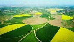 ابلاغ الگوی کشت به استان ها
