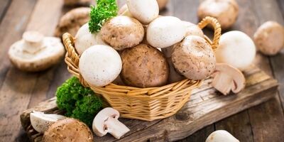 نرخ کنونی هر کیلو قارچ بسته به کیفیت در خرده فروشی ها  ۱۰۵ تا ۱۲۵ هزار تومان