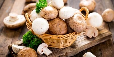 نرخ کنونی هر کیلو قارچ بسته به کیفیت در خرده فروشی ها  ۱۰۵ تا ۱۲۵ هزار تومان