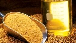 واردات روغن خام ۵۷ درصد افزایش یافت
