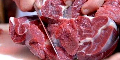  طرح تهاتر گوشت قرمز با نهاده‌ اجرا می شود 