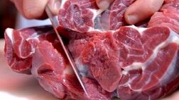  طرح تهاتر گوشت قرمز با نهاده‌ اجرا می شود 