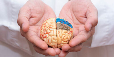 چه کنیم تا آلزایمر نگیریم ؟