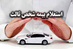 راهنمای جامع استعلام بیمه شخص ثالث: گام به گام تا اطمینان از اعتبار بیمه‌نامه