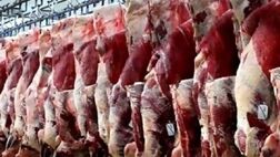  جامعه عشایری ۴ برابر نیاز وارداتی کشور به گوشت قرمز را تولید می‌کند 