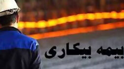 بازرسان  حق مراجعه به "در منازل" را ندارند