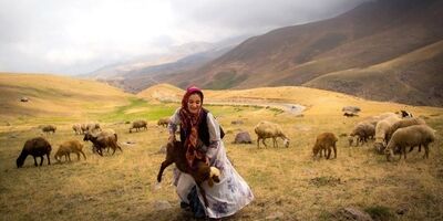 تمام زنان سرپرست خانوار روستایی و عشایری بیمه شده‌اند
