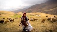 تمام زنان سرپرست خانوار روستایی و عشایری بیمه شده‌اند
