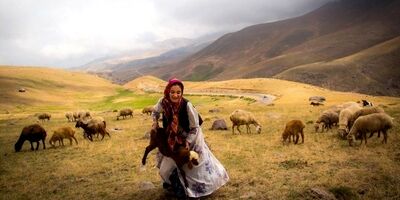 تمام زنان سرپرست خانوار روستایی و عشایری بیمه شده‌اند