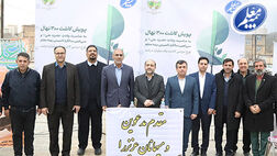 کاشت 300 نهال به مناسبت سی‌امین سالروز تاسیس بیمه معلم
