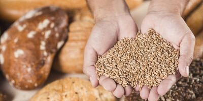 برای درمان یبوست چه بخوریم ؟