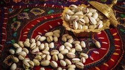 افزایش بیش از ۲۰۰ درصدی صادرات پسته