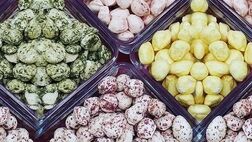  رنگ های غذایی رایج عملکرد روده را مختل می‌کند