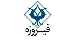 میزان درآمد عملیاتی واسپاری فیروزه در شش ماه چقدر بوده است؟
