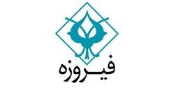 میزان درآمد عملیاتی واسپاری فیروزه در شش ماه چقدر بوده است؟