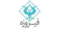 میزان درآمد عملیاتی واسپاری فیروزه در شش ماه چقدر بوده است؟