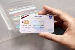 در چه صورتی گواهینامه‌ رانندگی‌تان باطل می‌شود؟
