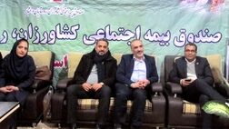 برپایی نمایشگاه از کم‌هزینه‌ترین فرصت‌ها برای فروش بیمه‌نامه است