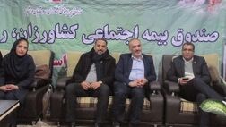 برپایی نمایشگاه از کم‌هزینه‌ترین فرصت‌ها برای فروش بیمه‌نامه است