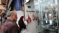 توزیع گسترده گوشت مرغ منجمد با قیمت عمده ۴۰ هزار تومان
