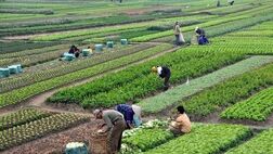 اعتبار دریافت وام با پروانه کسب کشاورزی
