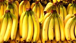 خروج سالانه ۸۰۰ میلیون دلار ارز از کشور با واردات موز 