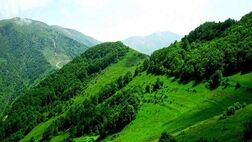 کاهش دما در نیمه شمالی کشور
