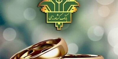 بانک کشاورزی ۴۸ هزار میلیارد ریال تسهیلات ازدواج و فرزندآوری پرداخت کرد
