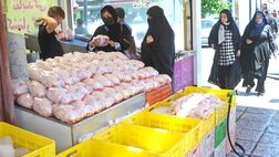 توزیع روزانه ۱۱۰۰ تن مرغ در تهران
