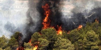 دلایل کاهش درآمدهای بیمه ای اتکایی رایا اعلام شد