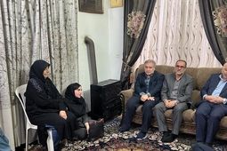 دیدار نوروزی مدیر عامل بیمه دی با خانواده شهید رضا گشت نورد
