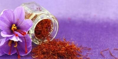 تولید ۴۷۰ هزار تن زعفران در سال گذشته