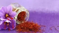 بزرگترین قرارداد تجاری زعفران جهان میان ایران و قطر به امضا رسید 