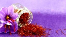 زعفران‌های صادراتی برگشت خورد؟