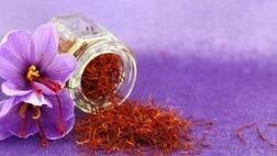 بزرگترین قرارداد تجاری زعفران جهان میان ایران و قطر به امضا رسید 