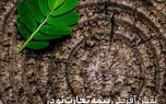 نقش آفرینی بیمه تجارت‌ نو در عرصه های مختلف مسئولیت اجتماعی