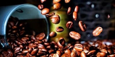 کافئین برای بدن مفید است یا ضرر دارد
