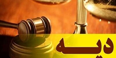 عدم تناسب گواهینامه با خودرو و استرداد دیه پرداختی به شرکت بیمه‌