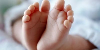 ثبت ۳۸ هزار واقعه ولادت چند قلوزایی در سال ۱۴۰۳
