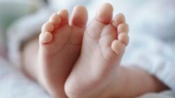 ثبت حدود ۹۸۰ هزار واقعه ولادت در سال ۱۴۰۳
