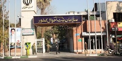 بیشترین تعداد ولادت مربوط به کدام استانها بود؟
