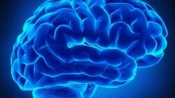 استروژن بر احتمال سکته مغزی در زنان تاثیر دارد