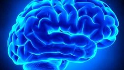 استروژن بر احتمال سکته مغزی در زنان تاثیر دارد
